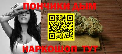 альфа пвп Заводоуковск