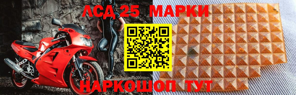 Марки N-bome 1500мкг  Вход с VPN  Заводоуковск 