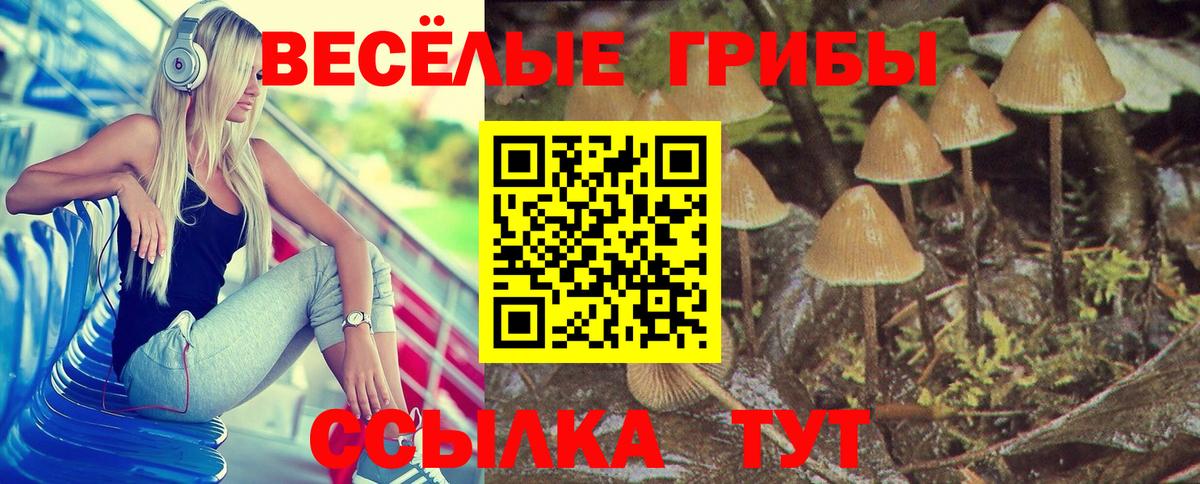 Заводоуковск  Псилоцибиновые грибы Magic Shrooms  Галлюциногенные грибы Magic Shrooms  Вход с VPN 